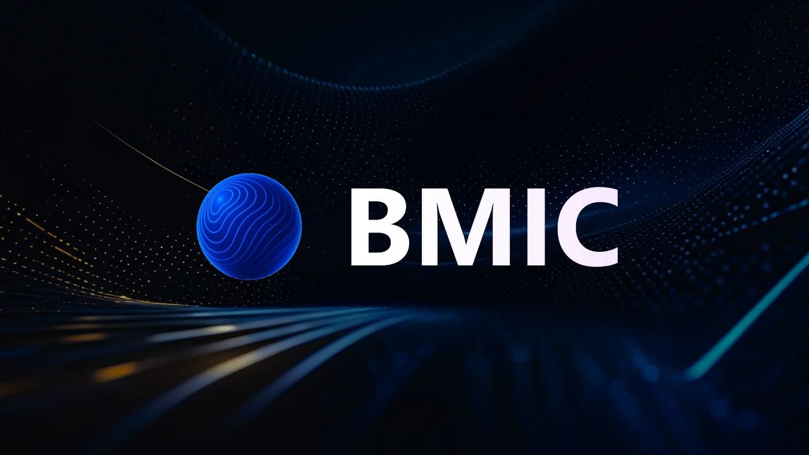 BMIC